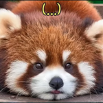 <b>내</b> 욕심이지만