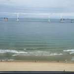 나 <b>피곤</b>한데 왜괴롭힘????