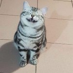 ㅋㅋ