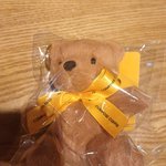 컴포즈 곰돌이 <b>입양</b>했어