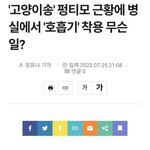 [댓글부탁해] 방탄 욕하면 부메랑 맞는거같음