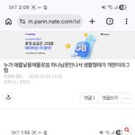 한국 여자들눈이높은게 남자들이 하나님사랑하는데 더 많은 이득을줌
