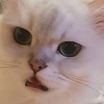 밖을