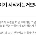 카리나 <b>제니</b> 주어충은 대체 본진이 어디냐