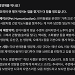 [혼자하는<b>말</b>] 댕팔자가 상팔자네