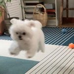 나 씻우로<b>간다</b>