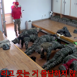 <b>뉴진스</b> 복귀자컨으로 군대 보냈으면 좋겠음