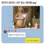 저거 <b>캥거루</b>잖아