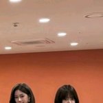 홍은채 카즈하 실물비율 체감짤인듯