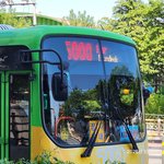 [이것좀봐줘] 포항 5000번 시내버스 과속 난폭운전 불친절 어떻게...