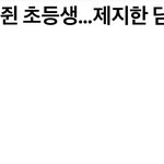 [댓글부탁해] 요즘 초등학교 교사 <b>고통</b>