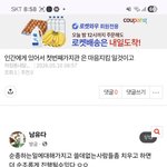 하나님의말씀을 모두 배신하고 어리석게도
