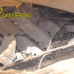 [단독] 이천 율현동 농지에 ‘1급 발암물질’ 슬레이트 무단 방치…...