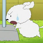 [<b>이</b><b>쓰쓰</b>] 기소당한 썰 풀자❗