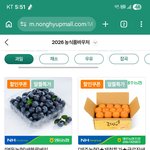 이 <b>사과</b>라고.