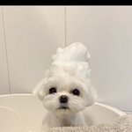 <b>목표</b>
