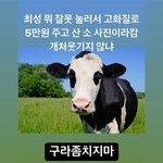 판 22년도부터 햇엇거든??