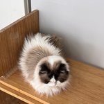 [댓글부탁해] 이짤 아이돌 누군지 아는<b>사람</b>..