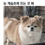 <b>배</b>