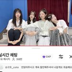 헐 이 <b>다이브</b> 왜이리 사랑스럽징?