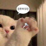오빠 <b>나</b> 진지해..<b>나</b>랑