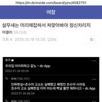 눈뒤집혀서 딥스들 지령 그대로 내 <b>머리채</b> 잡고 오늘한번 죽어봐라...