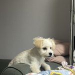 평소의 내모습