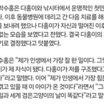 박수홍 고양이 다홍이 학대 논란