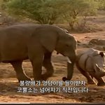 키 150<b>이</b> ㅈㄴ 작은 이유