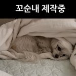 <b>비오</b>는날