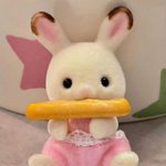 쨀이 언제<b>오니</b>
