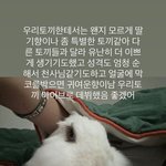 우리 회사 상무님 왜 <b>연애</b> 안할까?