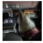 [댓글부탁해] 데이식스 도운이랑 유혜주 동생 사귄다는데