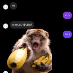 프랑스남자 두명 맞낫는데 <b>그중</b>한명한텐 차엿어