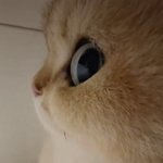 우는<b>모습</b>보구싶다....