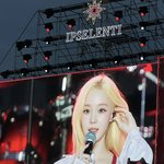 퍼컬이 대학 축제라는 걸그룹 멤버