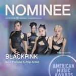 트와 아마스 수상으로 블핑팬들 국내외로 정병온거