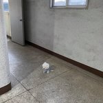 쓰레긴줄 알았지만