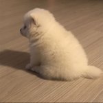 저 아줌마