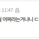 이런 애들은 나중에 발목잡힐듯..