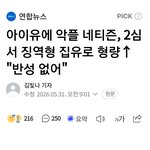 <b>아이유</b>에 악플 네티즌, 2심서 징역형 집유로 형량 "반성 없어"