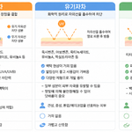 [화장품] 누구나 아는 유기/무기/혼합자차 올영 선크림 직접 다...