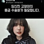 야야 너네 민티 인스타 봄?