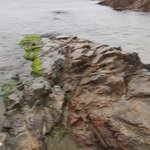 <b>강릉</b>바다