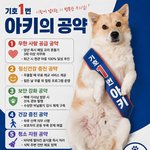 입양홍보<b>글</b> 올리고 싶은데