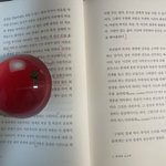 다이소 문진 꽤괜