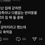 이거 너넨 어떻게 생각해?