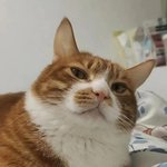 <b>니</b>가