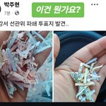 [댓글부탁해] 아니 투표<b>용지</b>