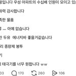<b>시위</b>가서 김밥 구걸하네